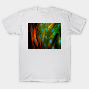 Adipose stem cells, light micrograph (C010/3069) T-Shirt